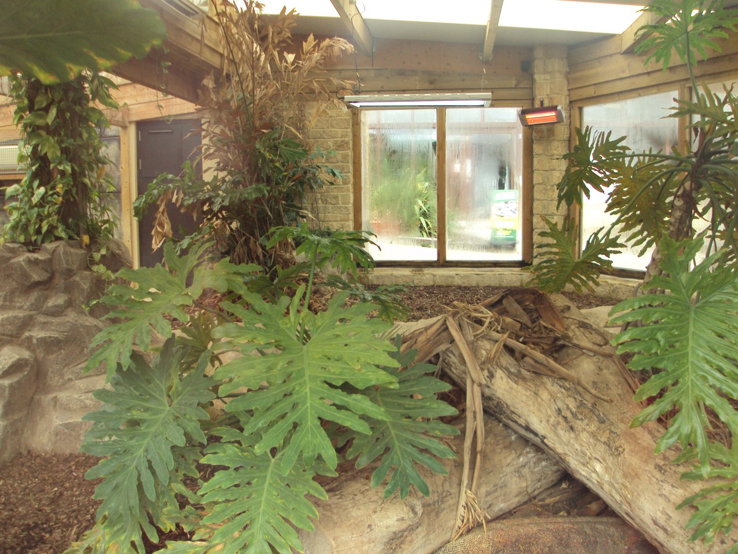 View inside Komodo House 31/10/2019