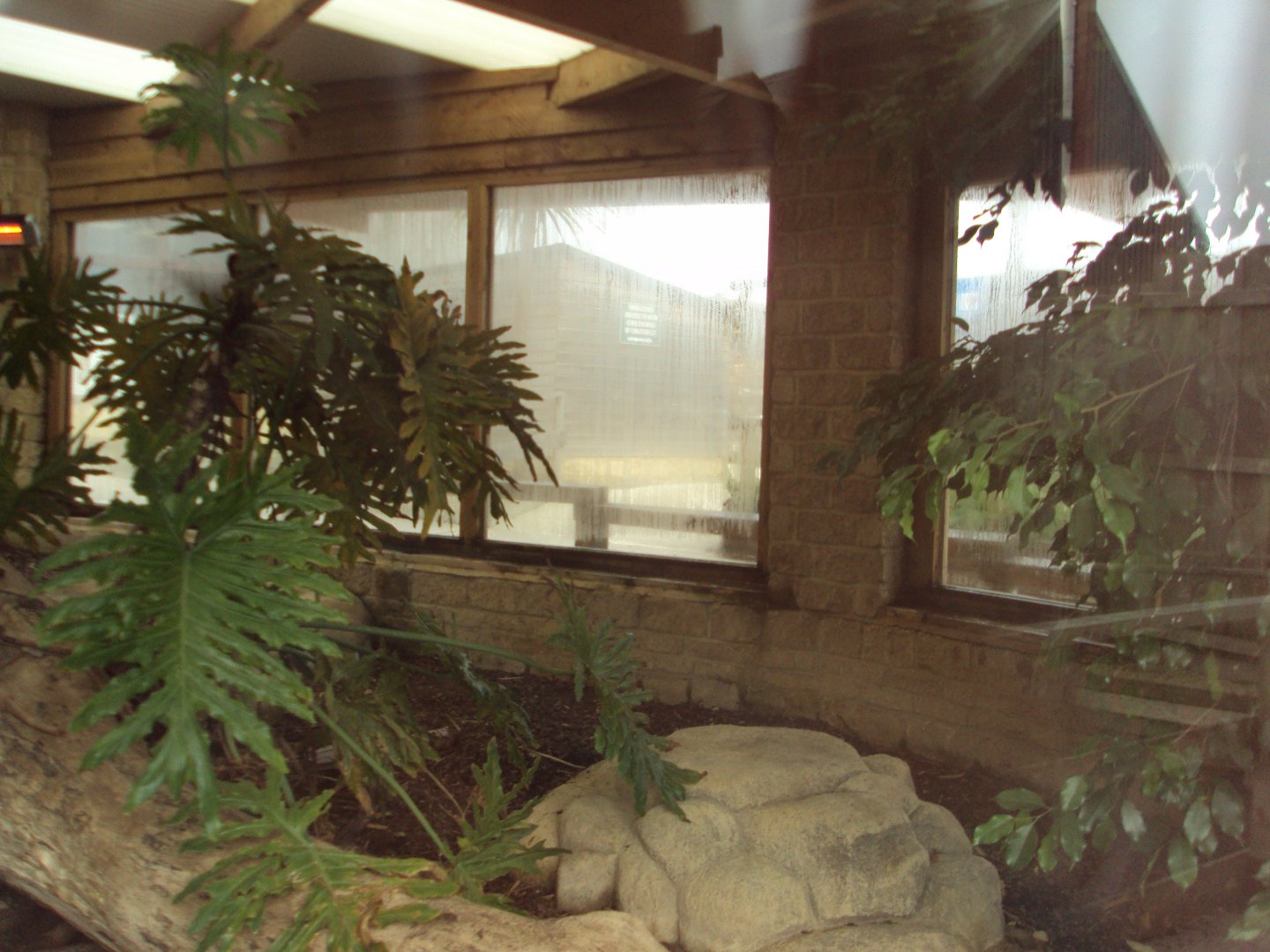 View inside Komodo House 31/10/2019