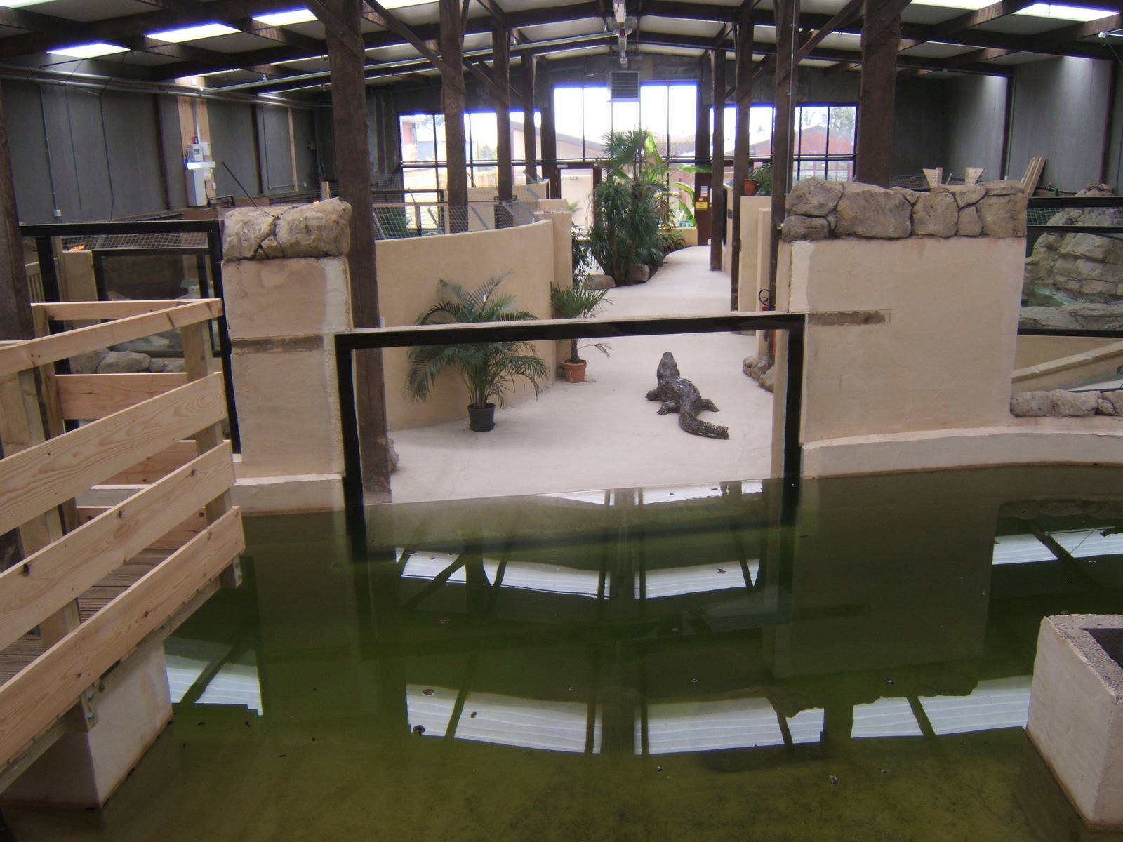 View inside Large Crocodile House