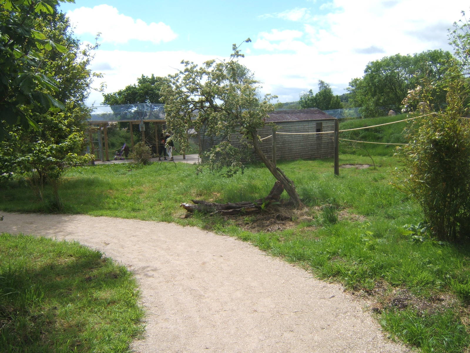 View inside Lemur walk through