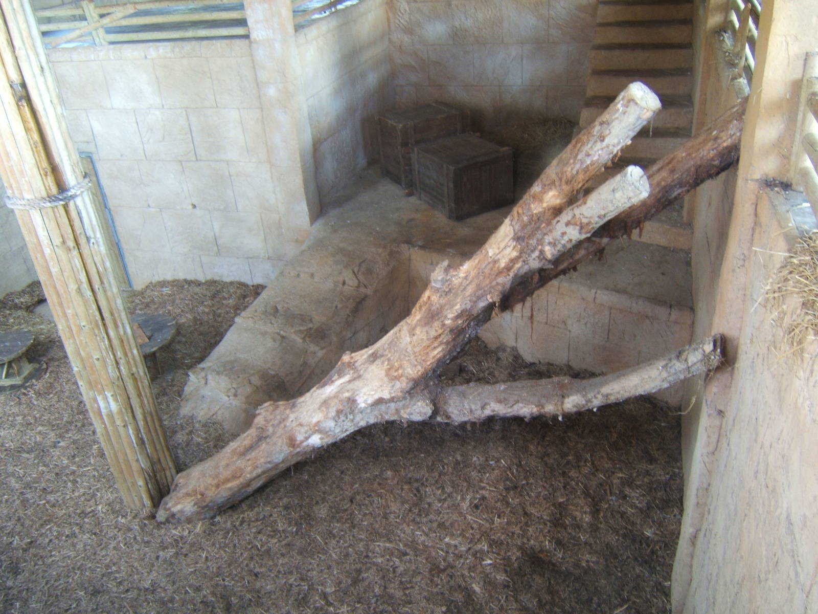 View inside Lion House