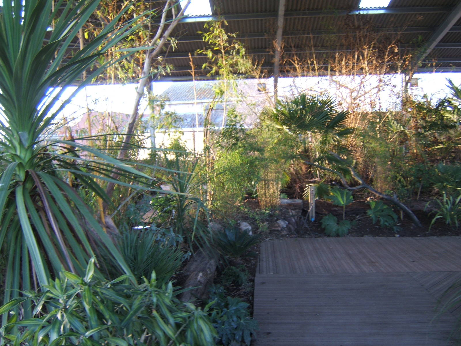 View inside Lorikeet Landings