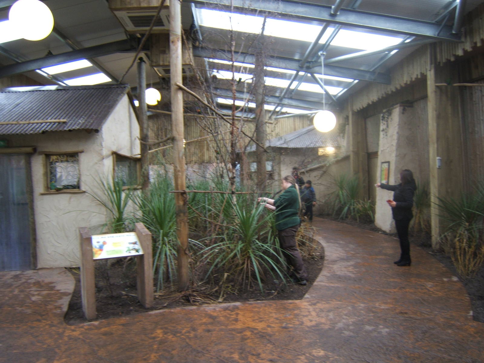 View inside Lorikeet Landings