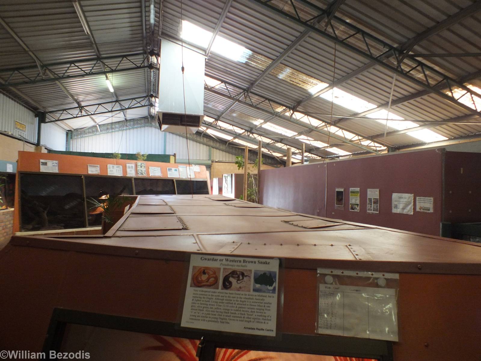 View Inside Main Reptile Barn