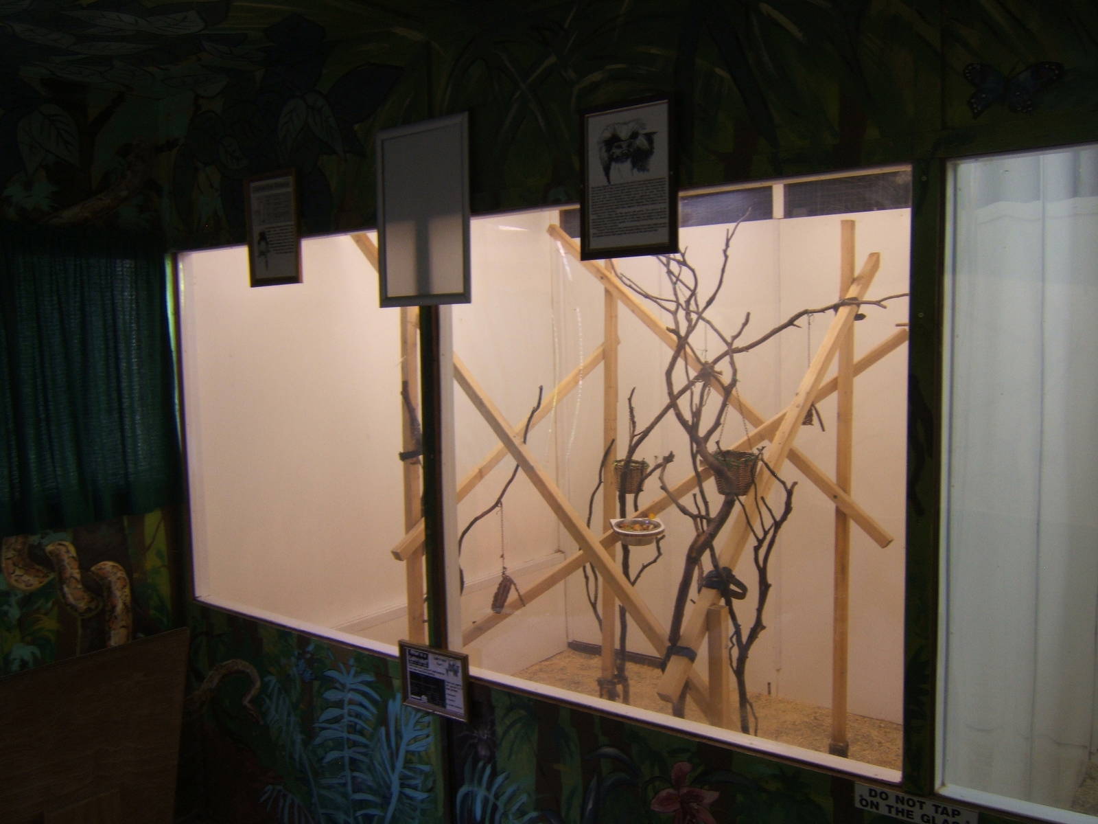 View inside Marmoset and Tamarin House