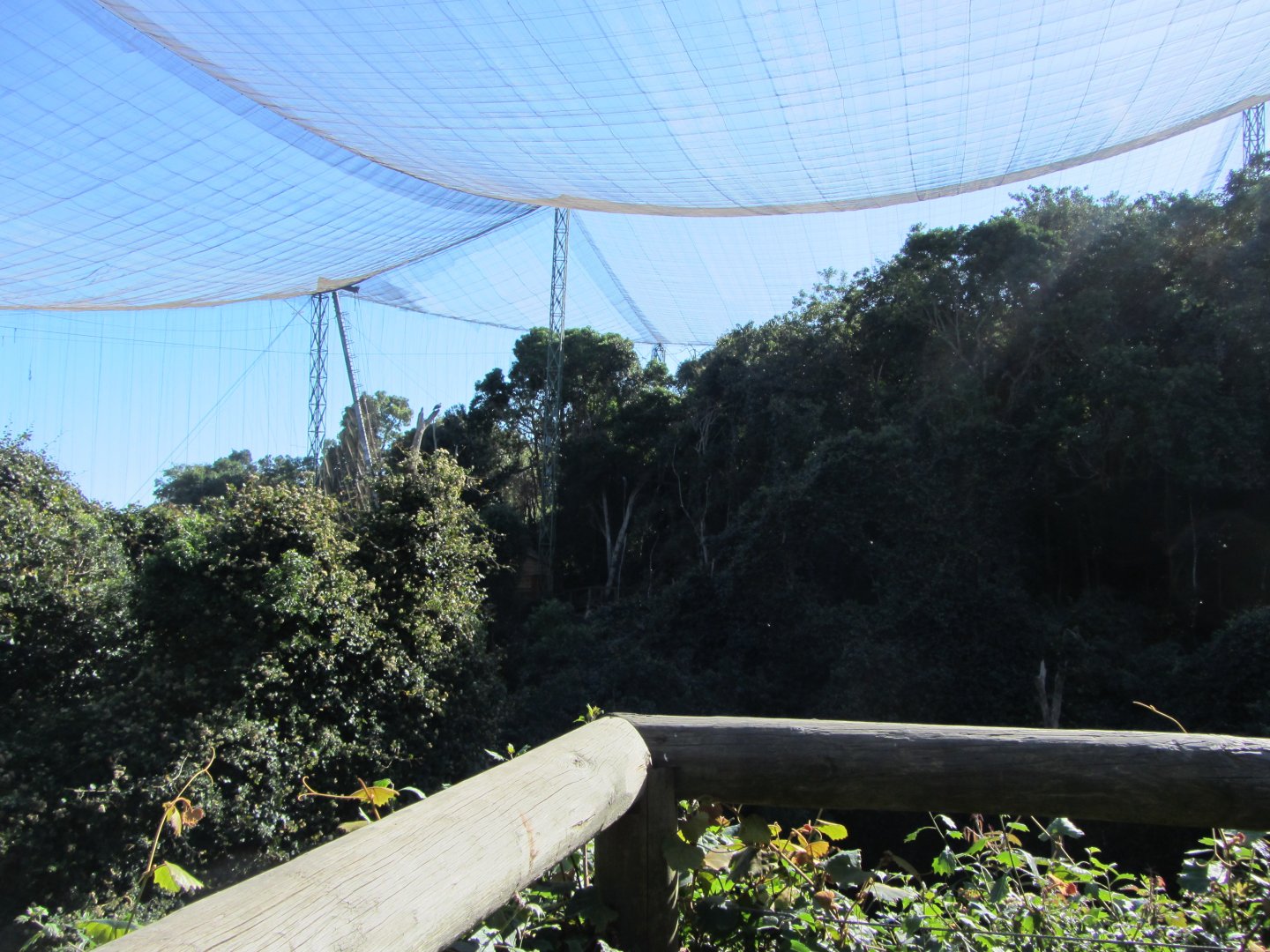 View Inside Massive Walk-through Aviary