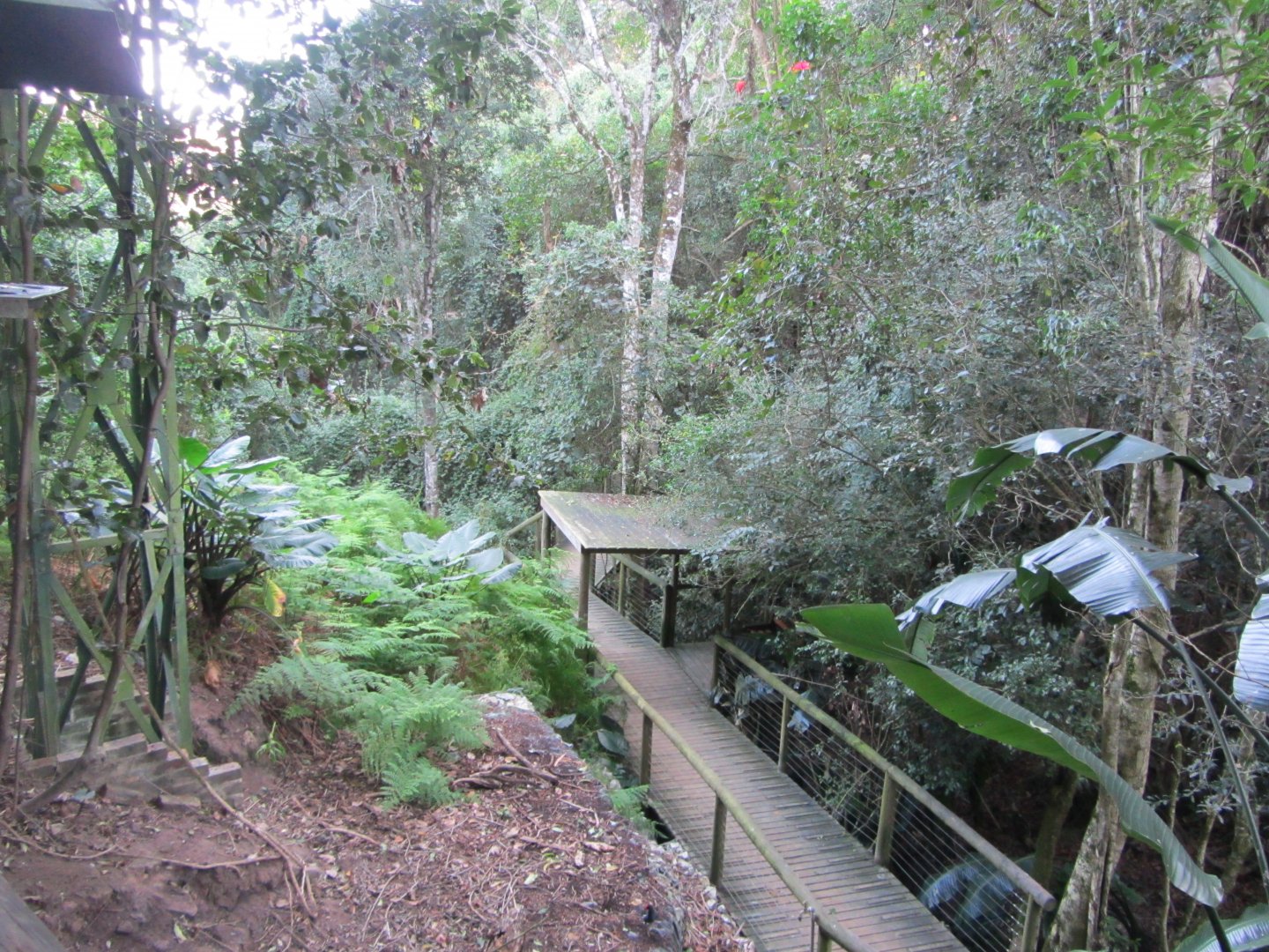 View Inside Massive Walk-through Aviary
