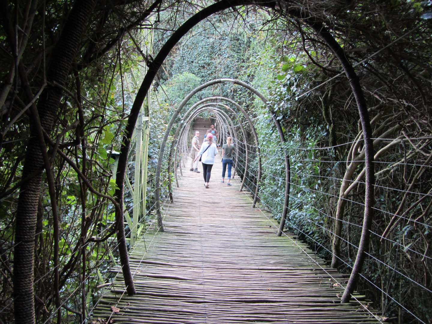 View Inside Massive Walk-through Aviary