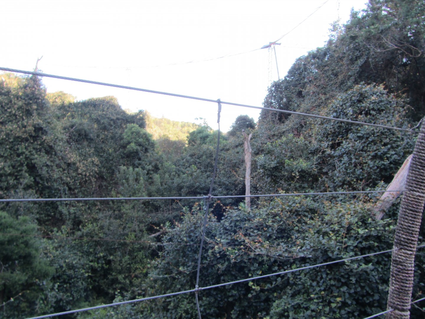 View Inside Massive Walk-through Aviary