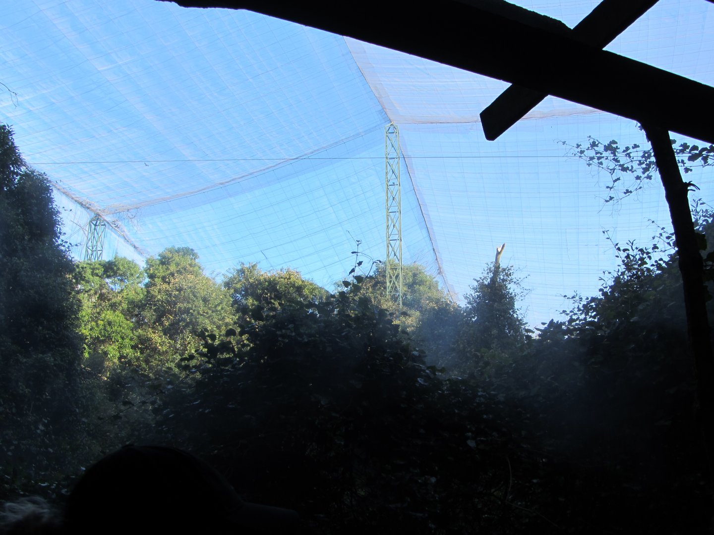 View Inside Massive Walk-through Aviary