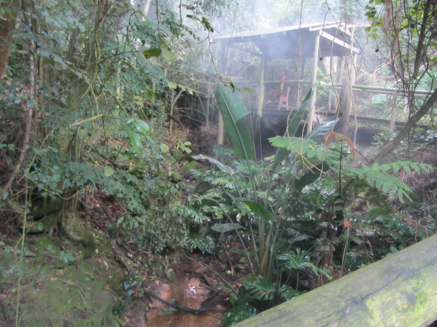 View Inside Massive Walk-through Aviary