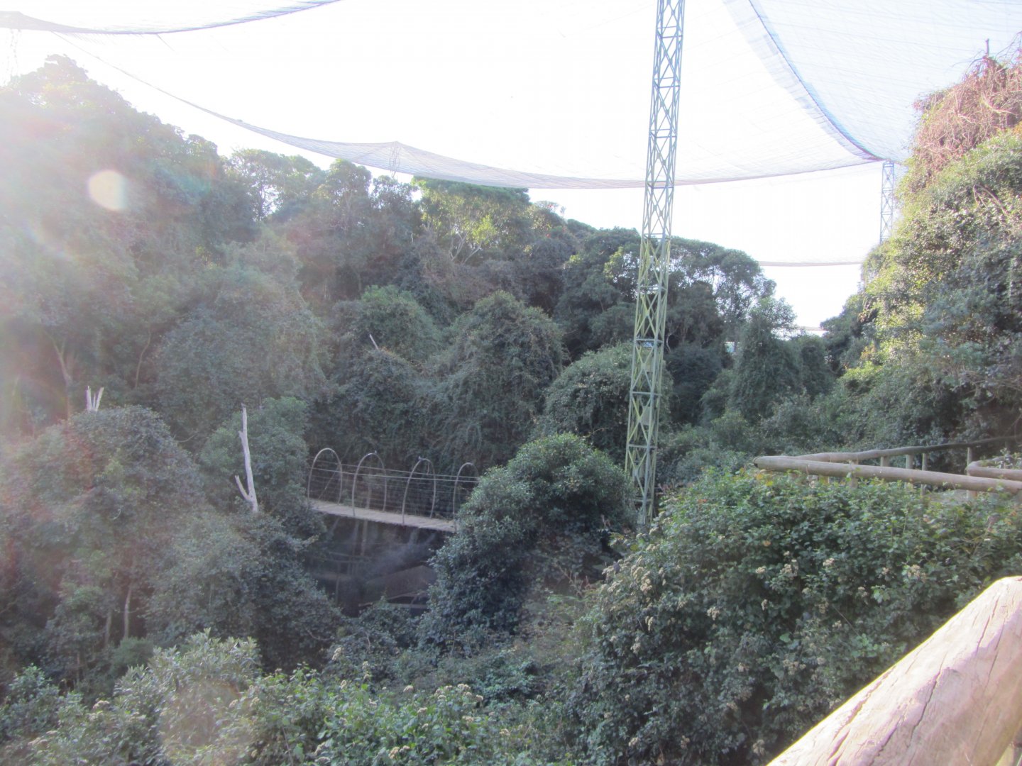 View Inside Massive Walk-through Aviary