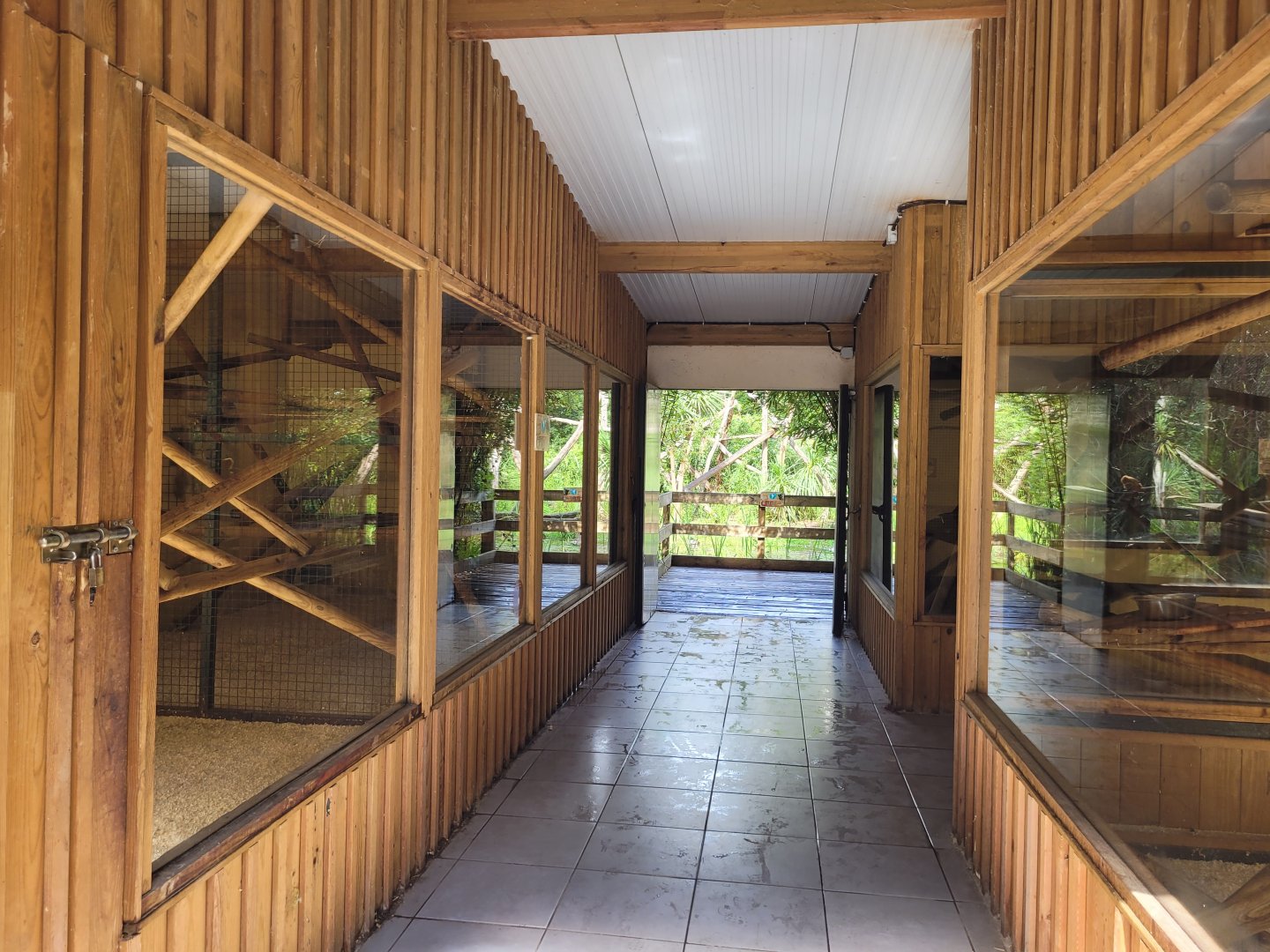 View inside monkey house -Zoo du bassin d'Arcachon (2024)