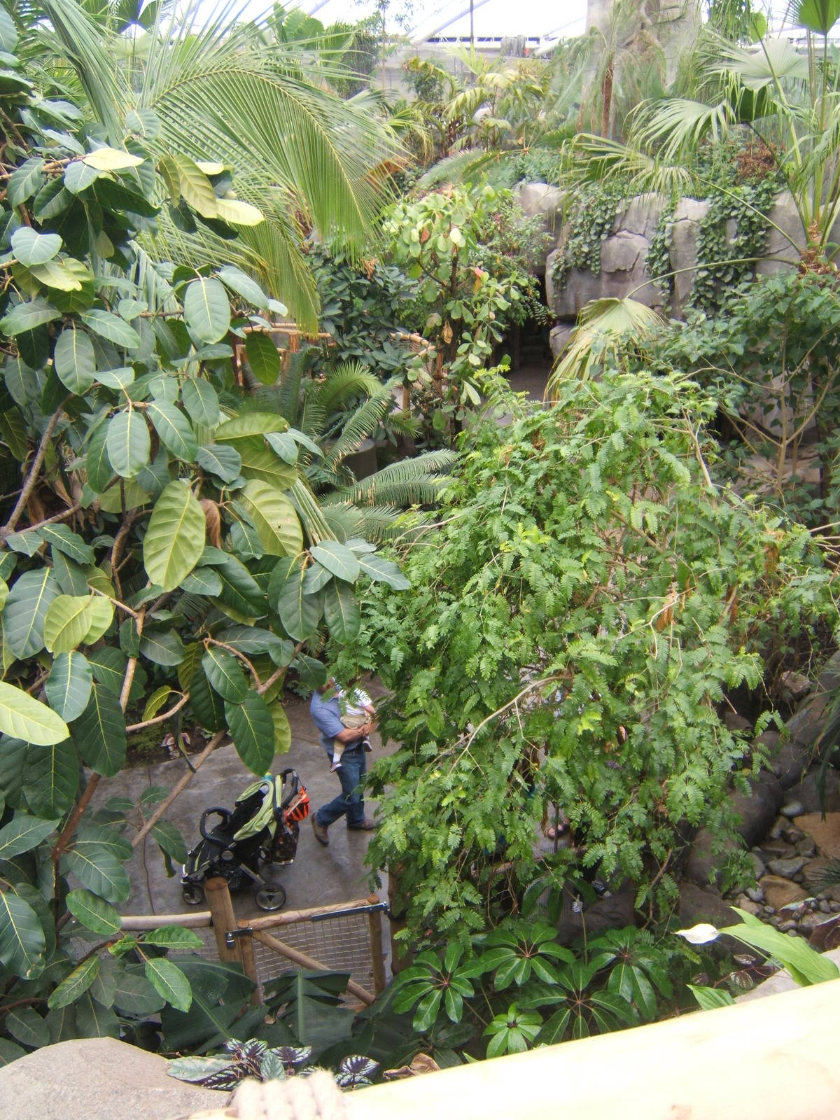 View inside Monsoon Forest walk through Aviary