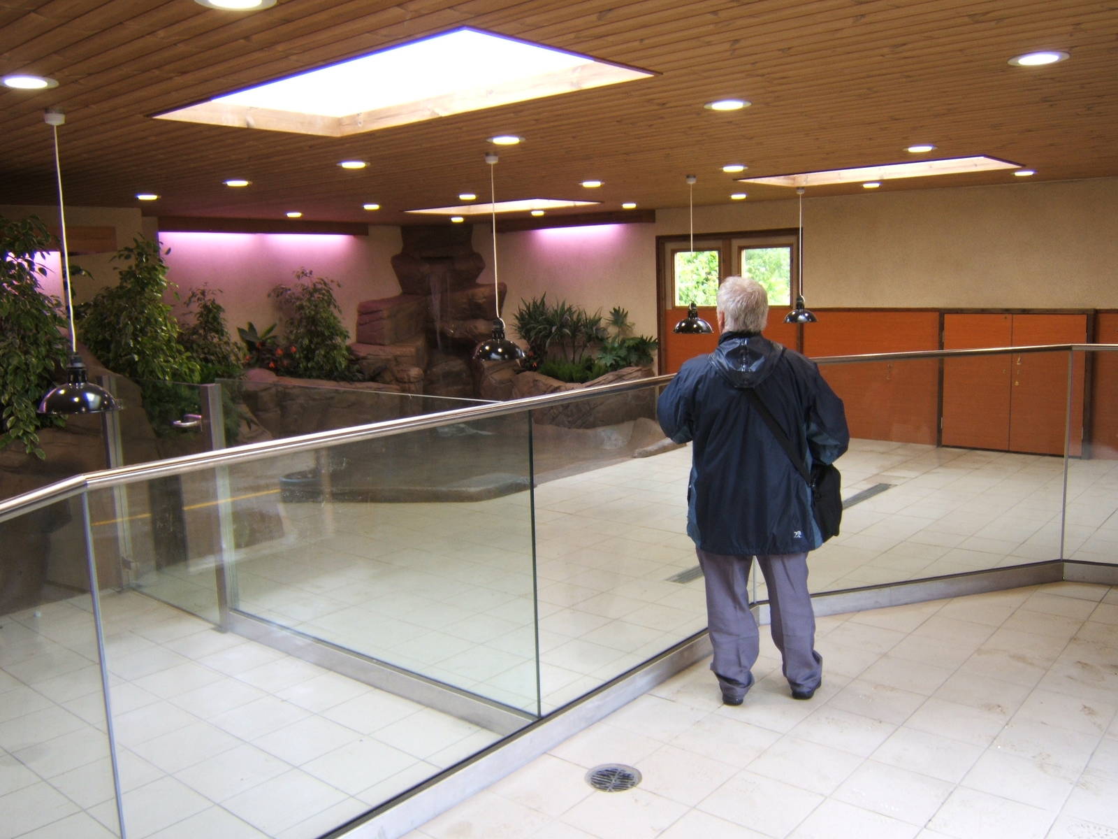 View inside new tortoise house with zoochatter for scale
