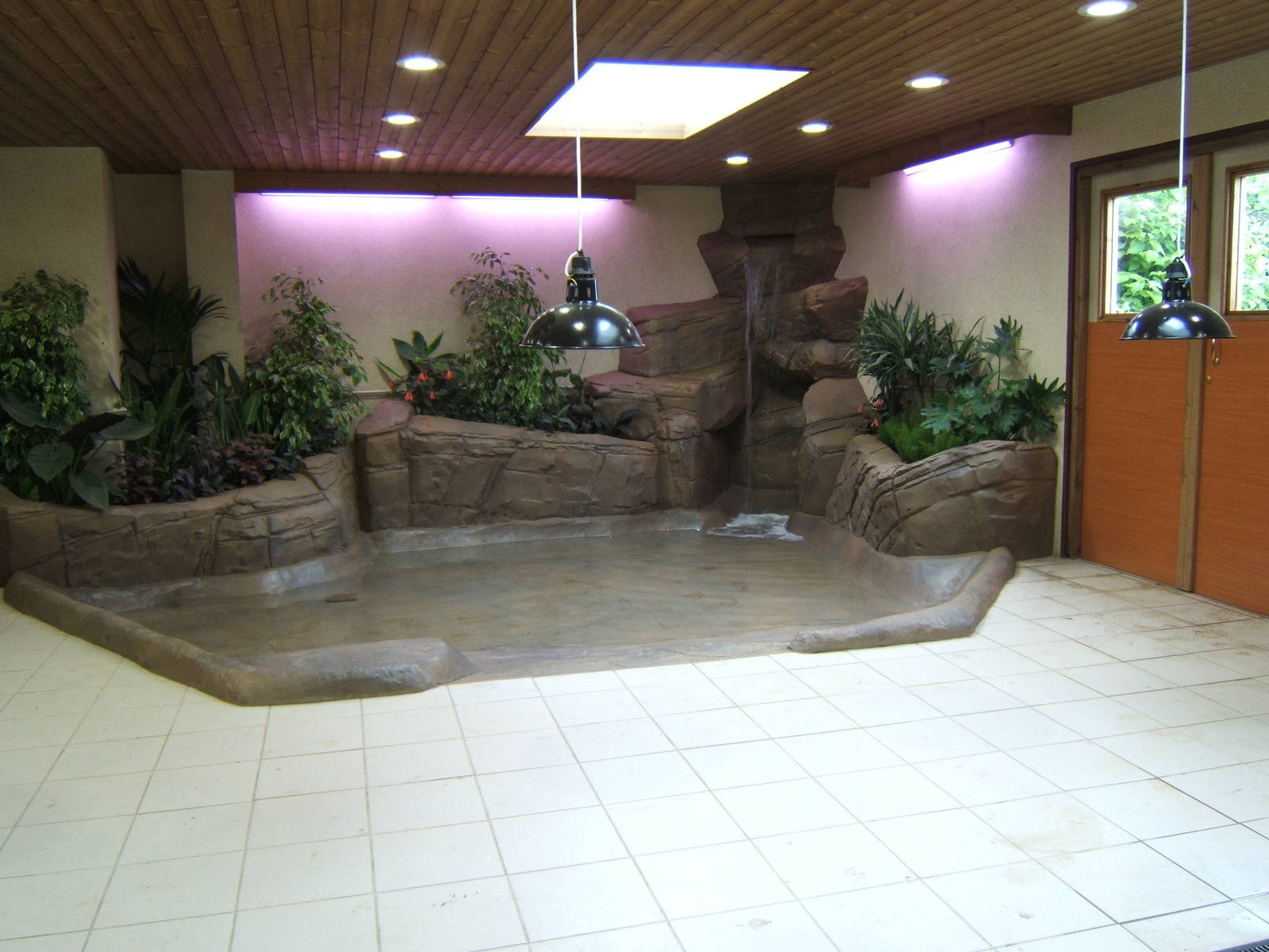 View inside new tortoise house