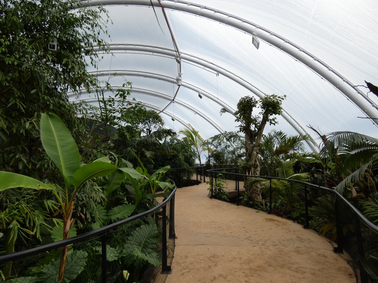 View inside new Tropical House
