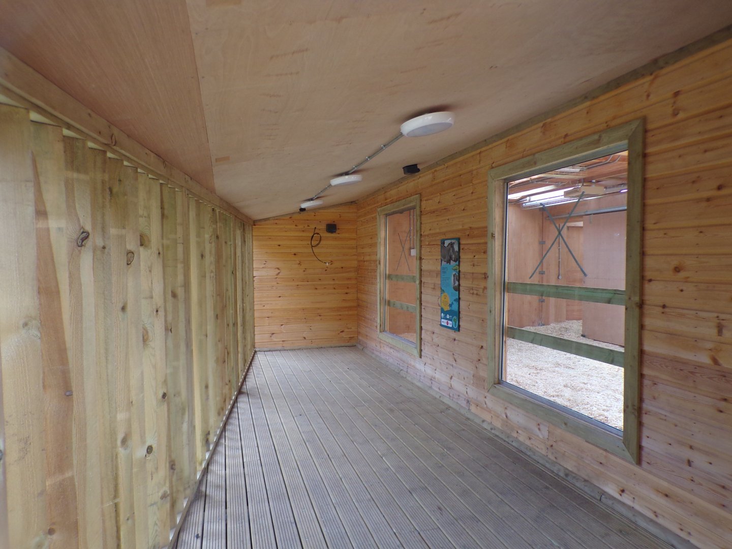 View inside new zebra house 18.7.25