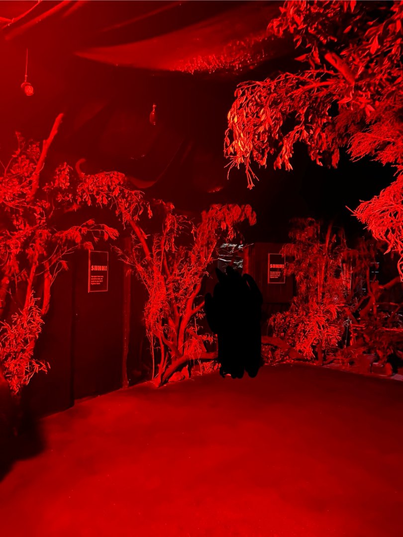 View inside Nocturnal House 12.2.25