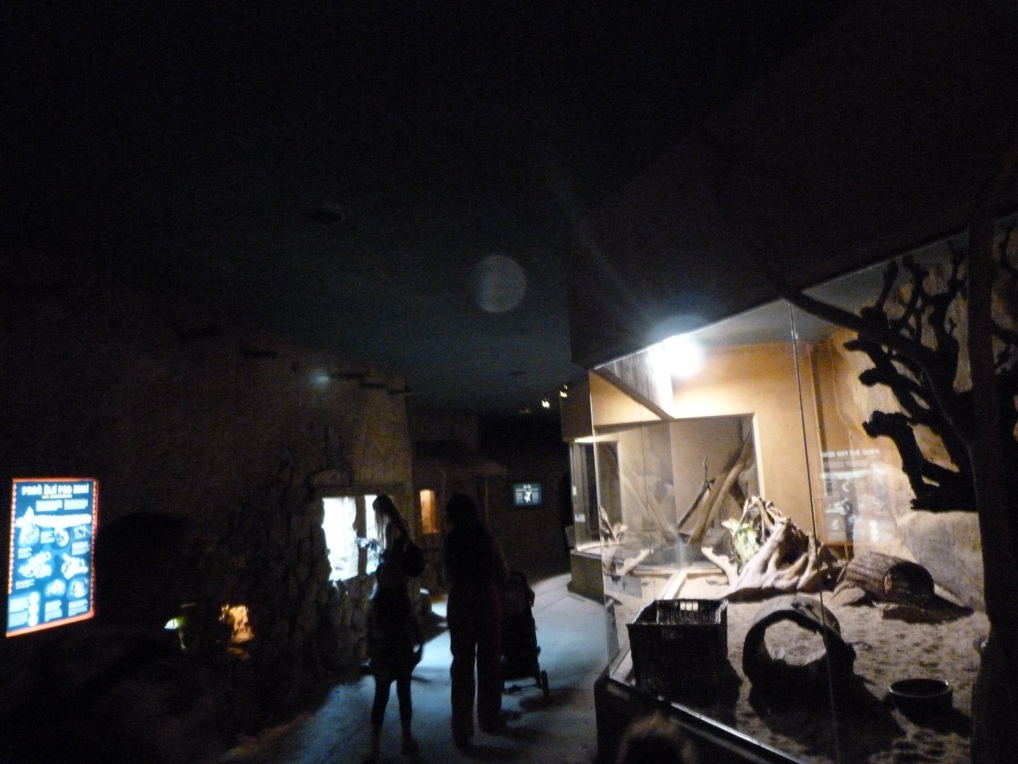 View inside of "Africa Up Close" -Zoo Praha (2025)