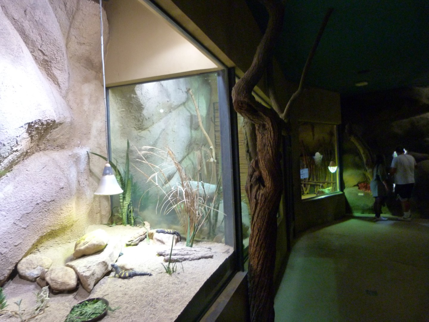 View inside of "Africa Up Close" -Zoo Praha (2025)