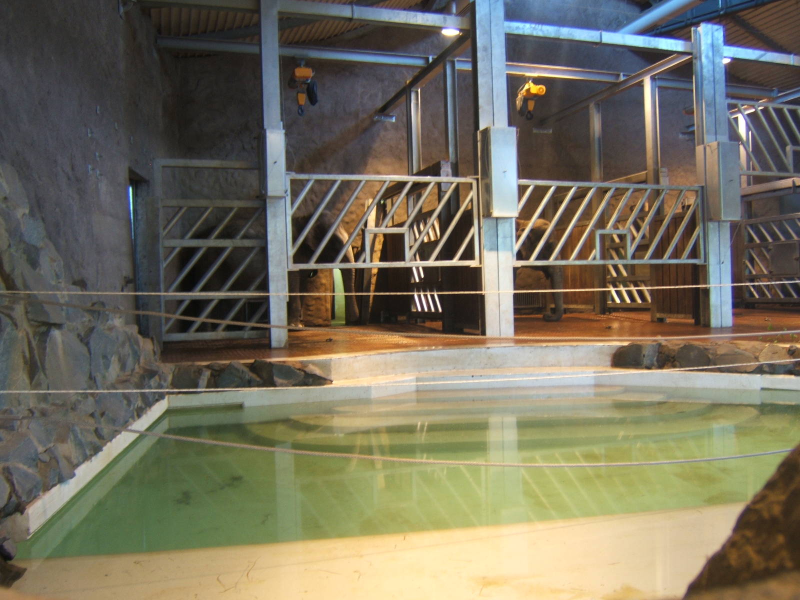 View Inside of Elephant House