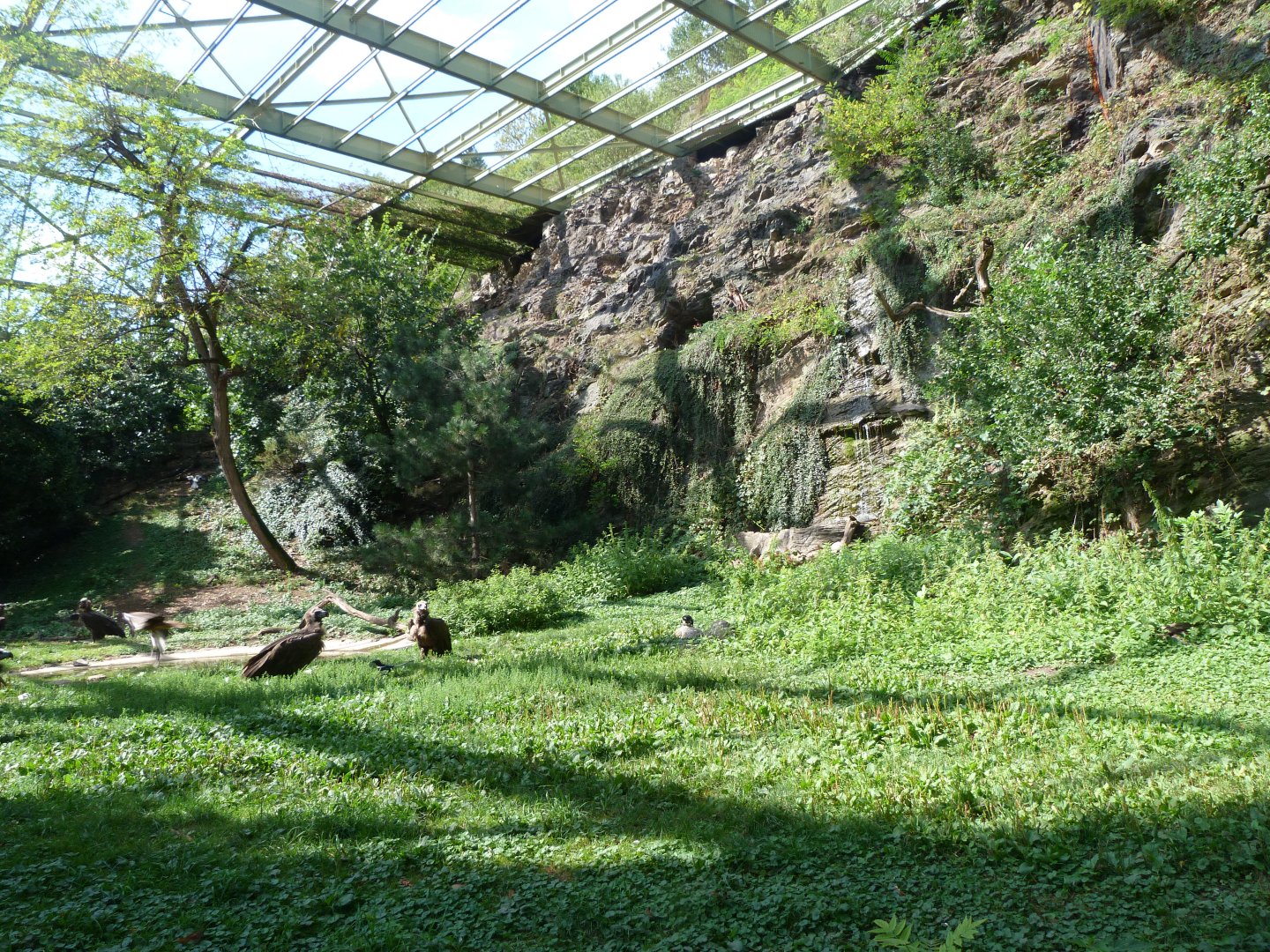 View inside of the "Great aviary" -Zoo Praha (2025)
