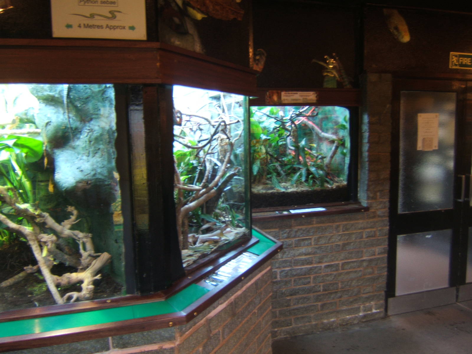 View inside of the Reptile House