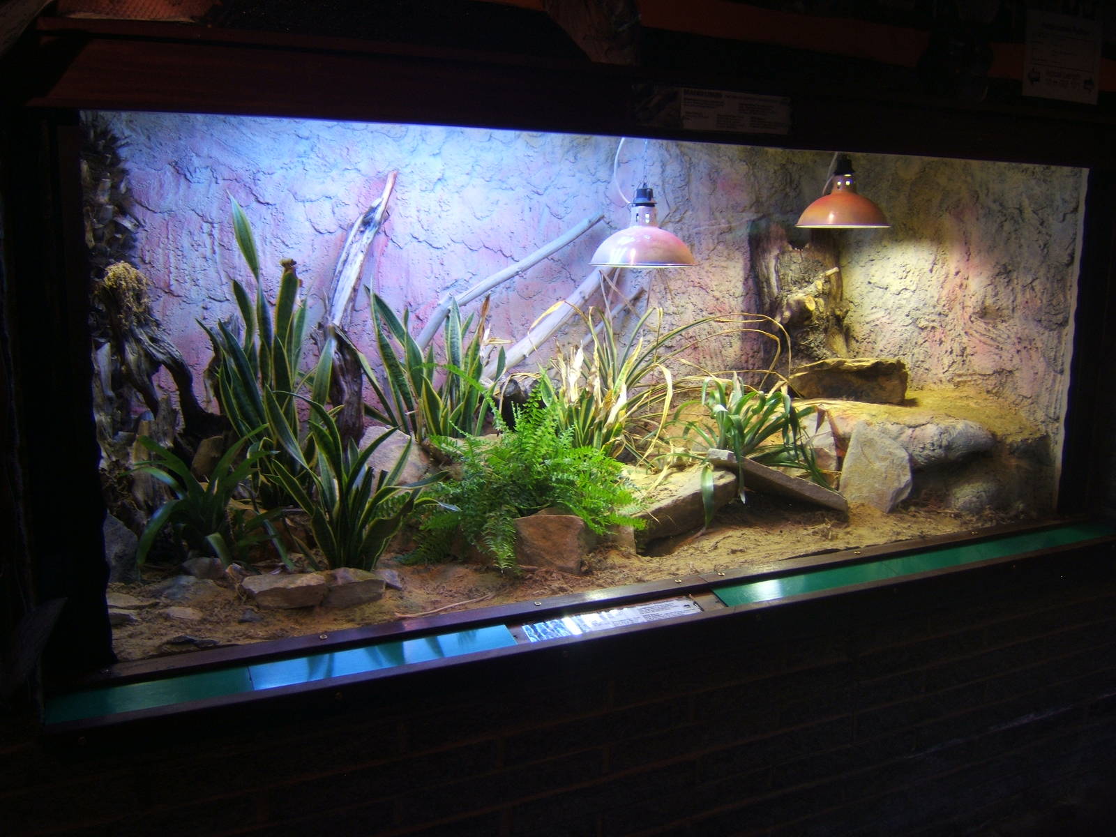 View inside of the Reptile House