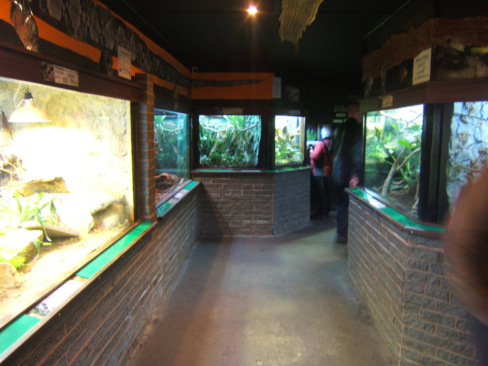 View inside of the Reptile House