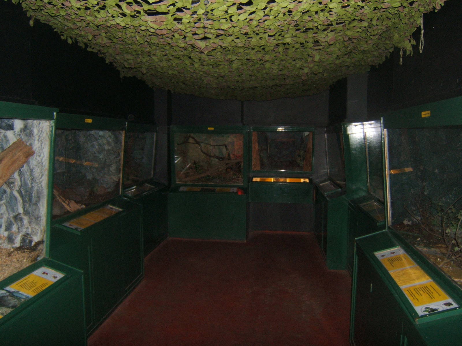 View inside of the Small Mammal House