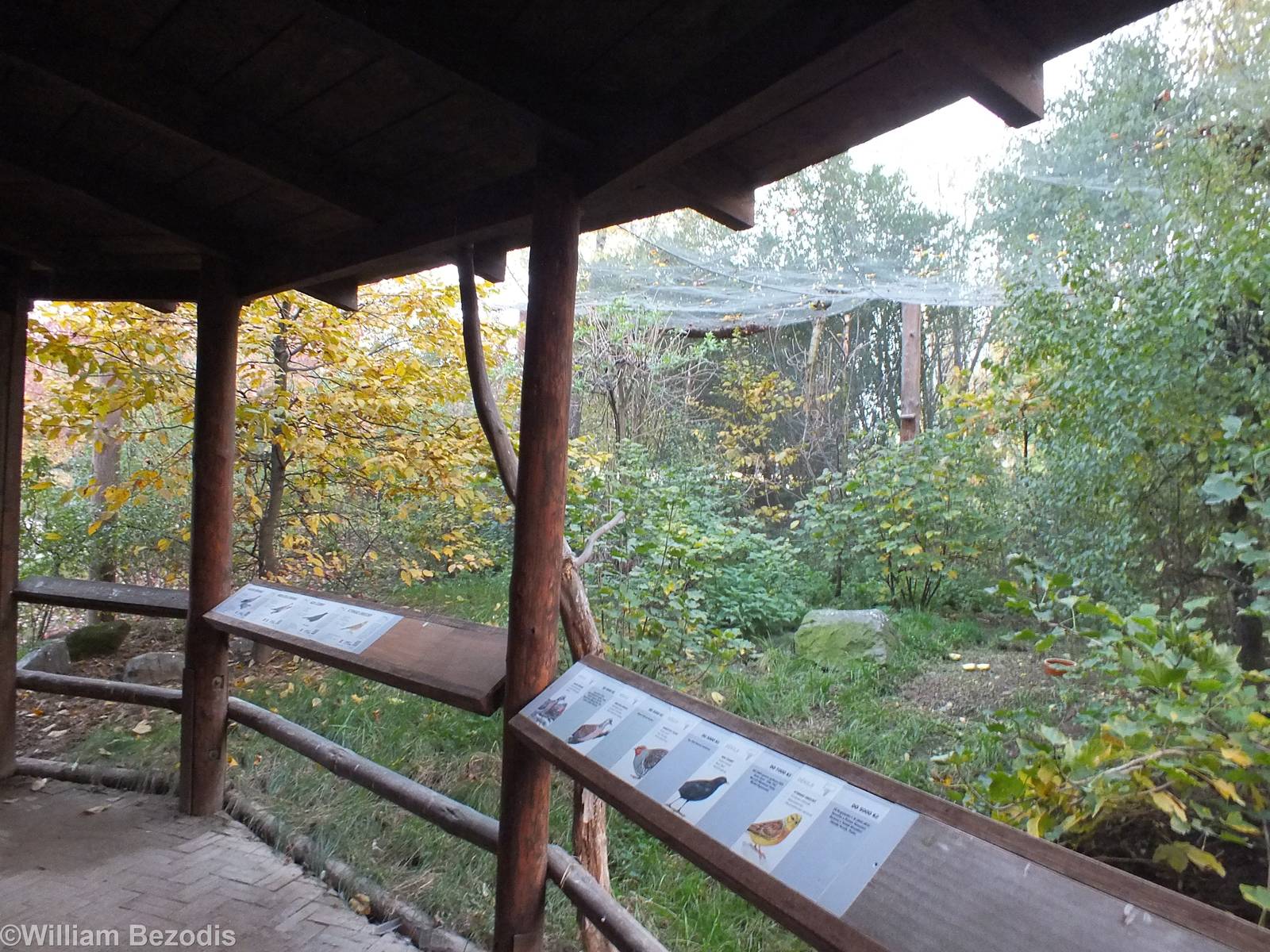 View inside one of two European Bird Aviaries
