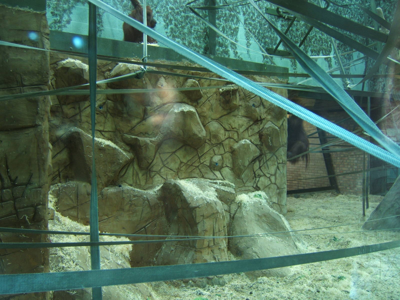 View inside Orang House