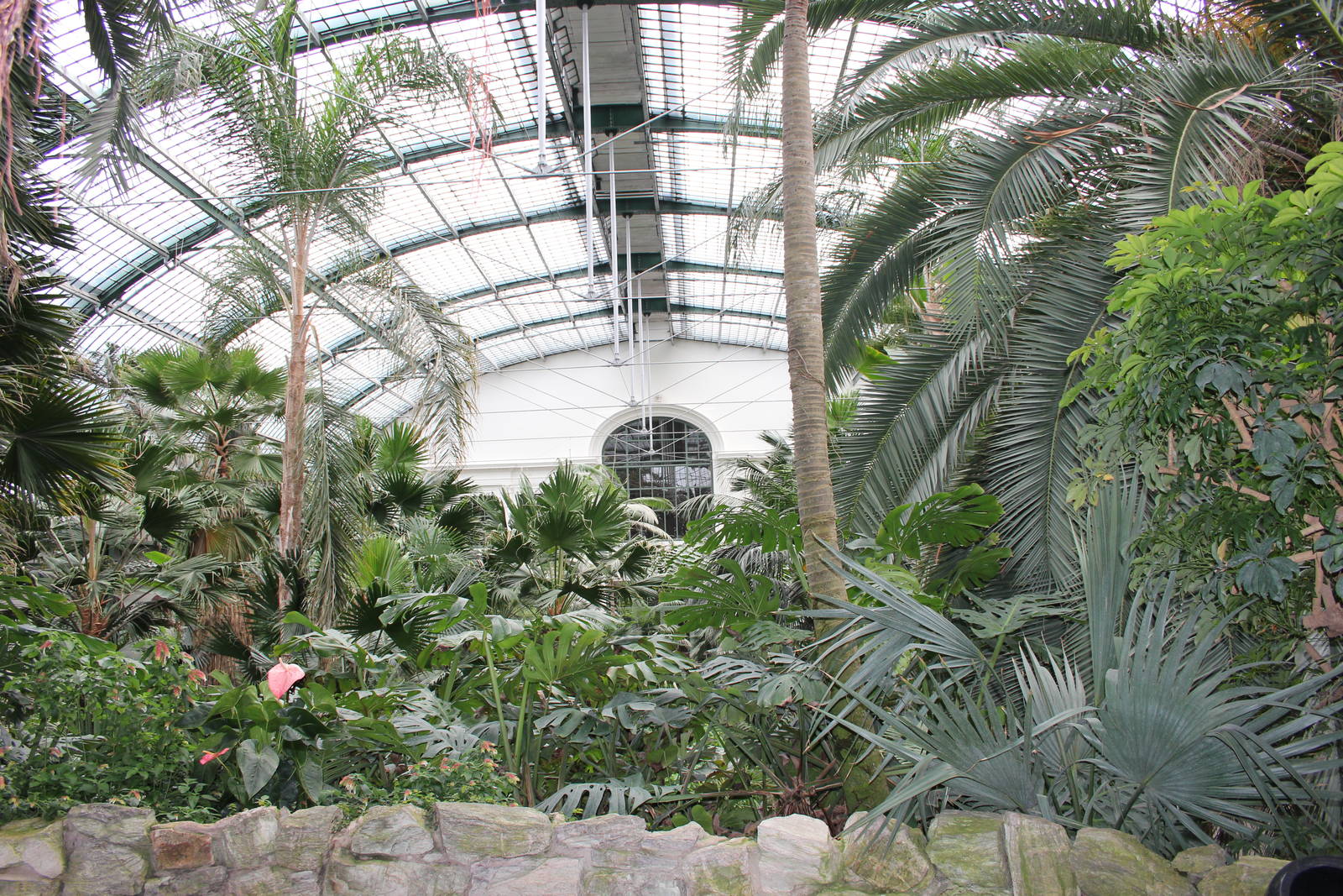 View inside palm house