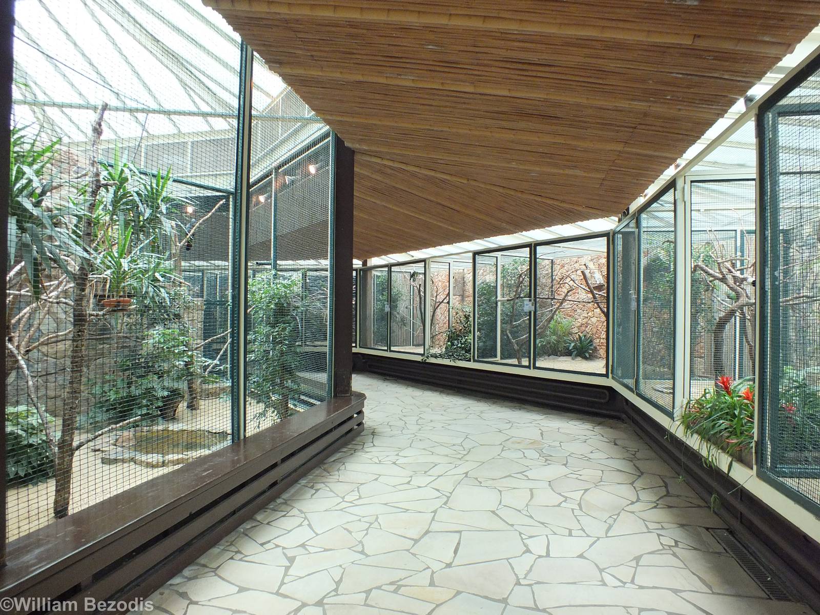 View inside Parrot House