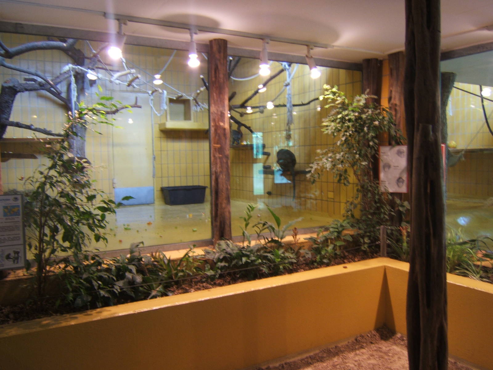 View inside primate House