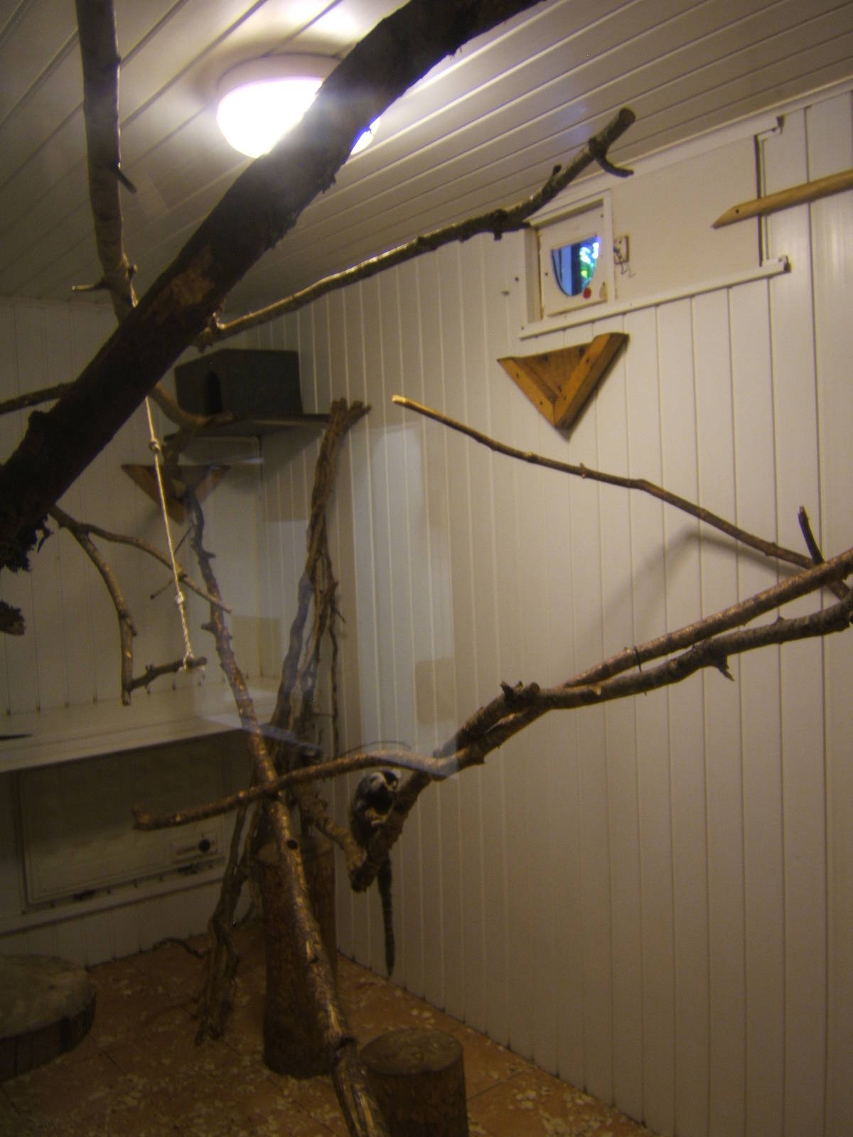 View inside Primate House