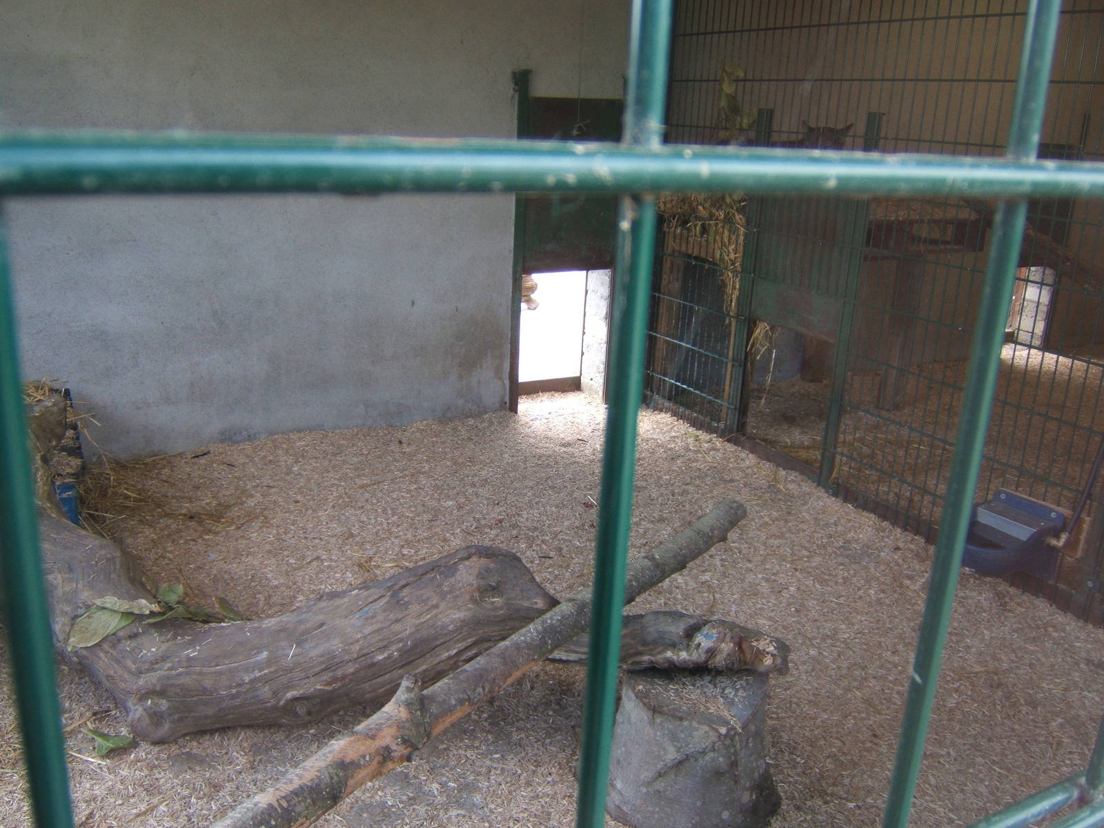 View inside Puma house