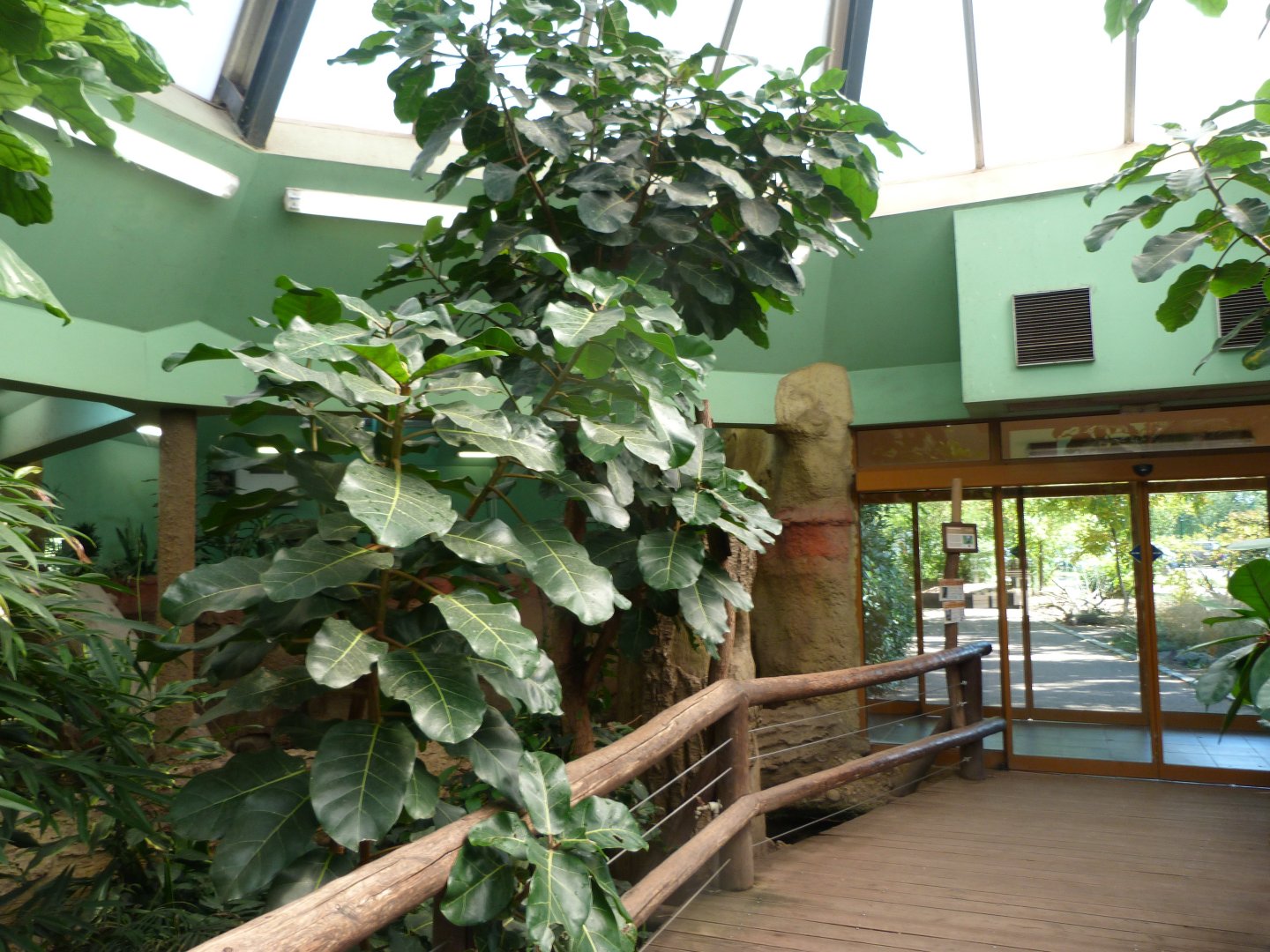 View inside pygmy hippo pavillion -Zoo Plzeň (2025)