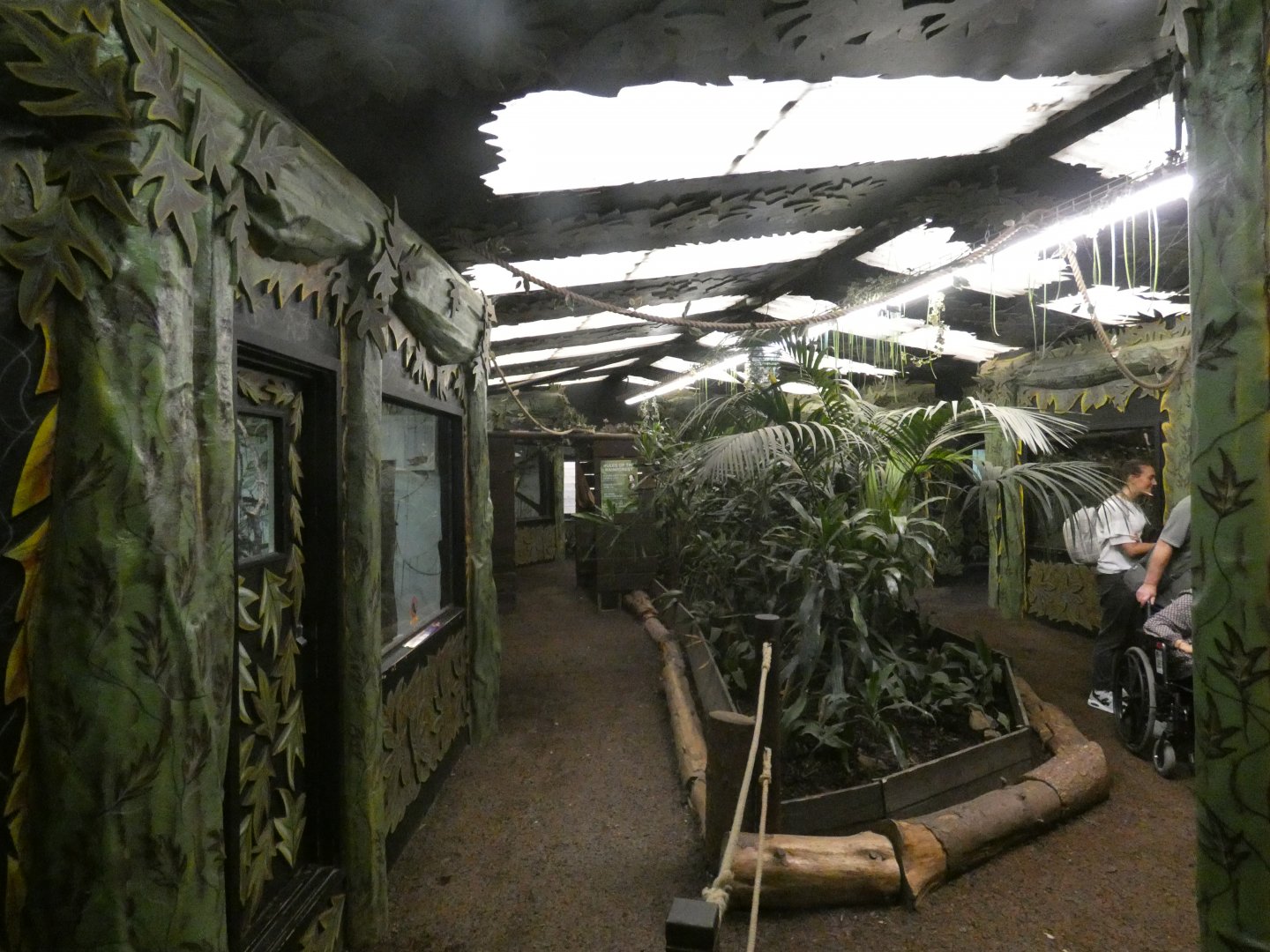 View inside rainforest house