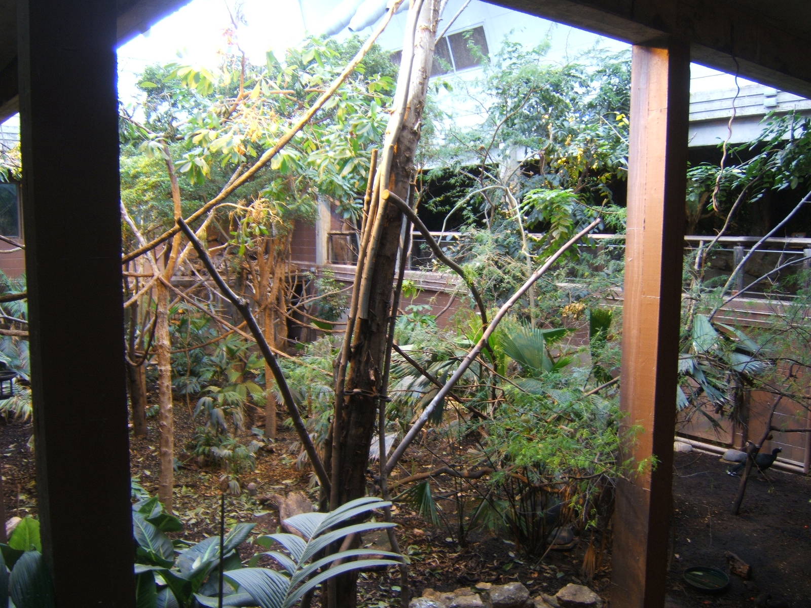 View inside Rainforest Life