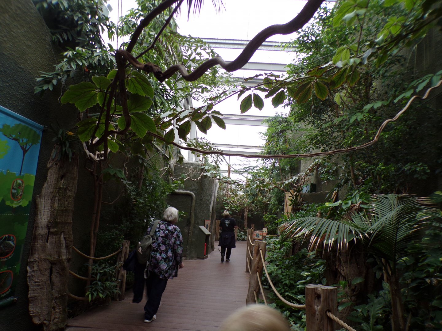 View inside Realm of the Red Ape 29.6.24