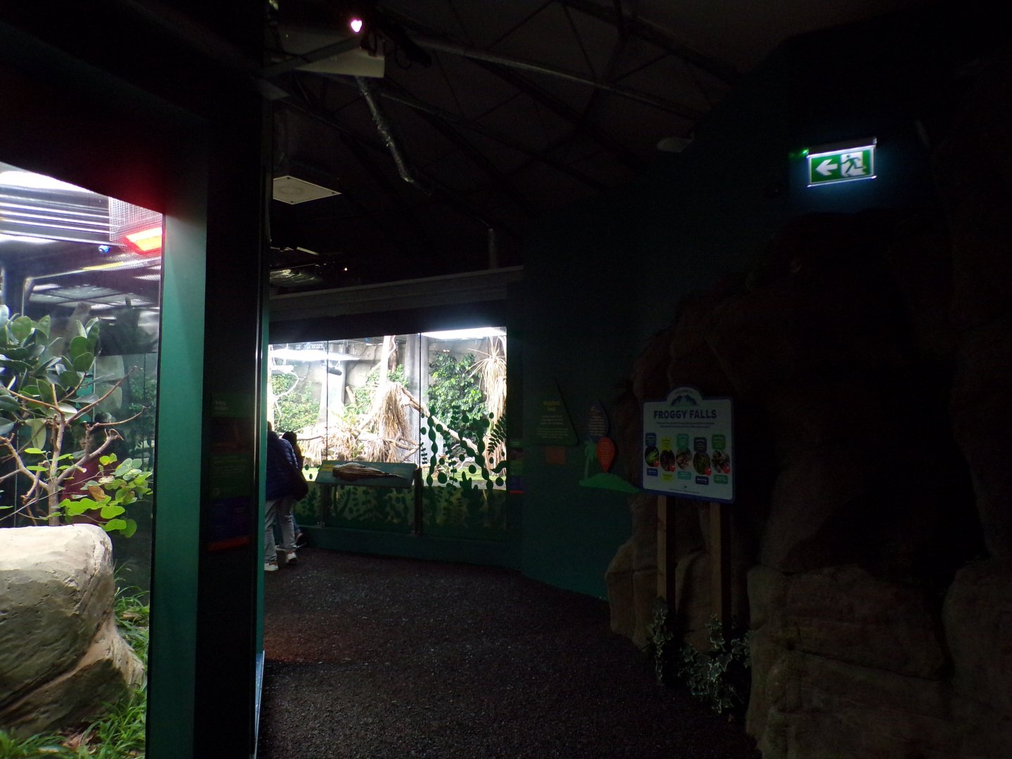 View inside Reptile house 11.2.25
