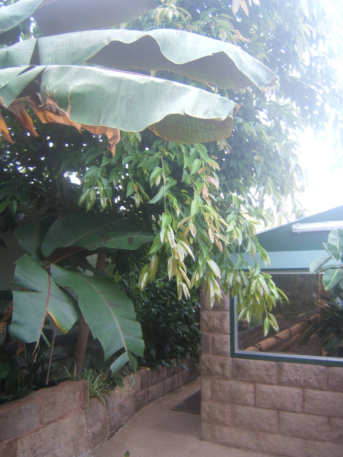 View inside Reptile House