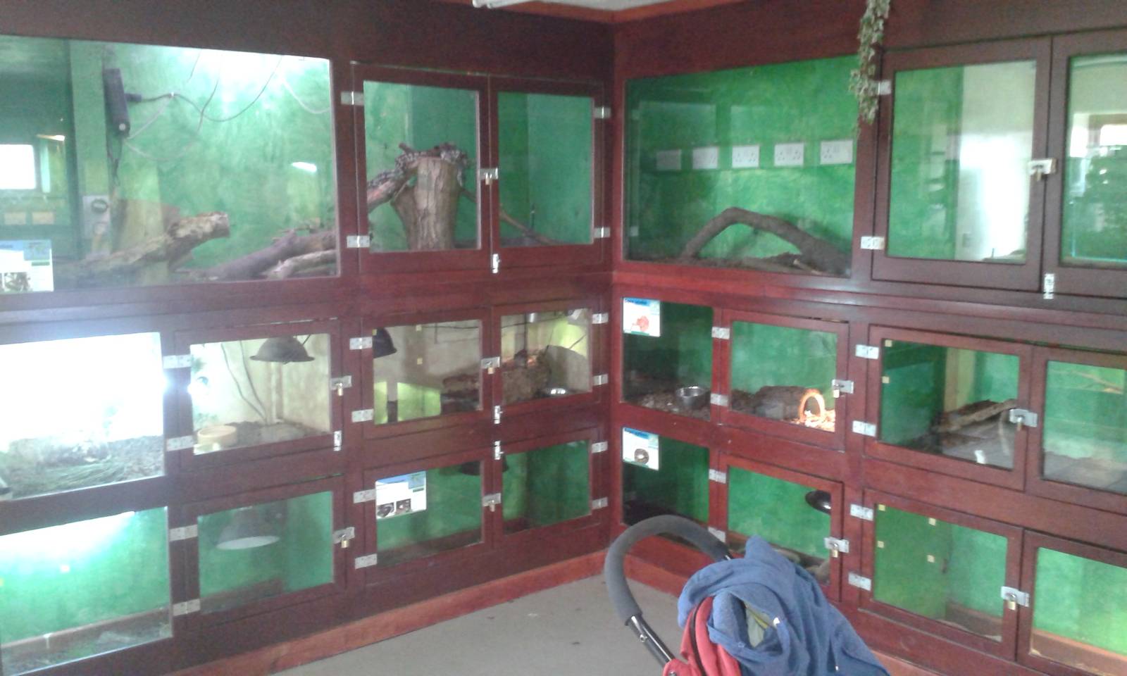 View inside Reptile House