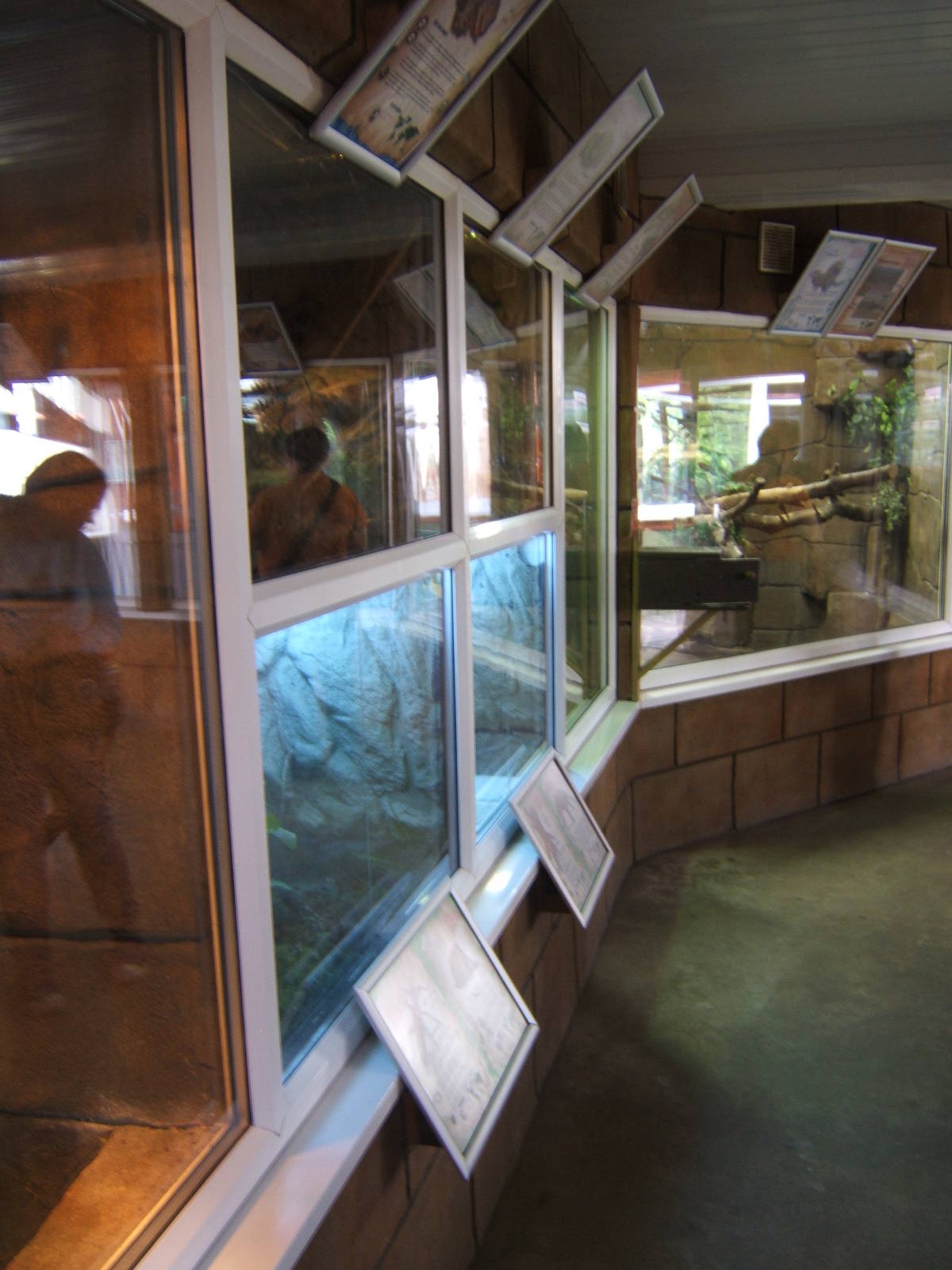 View inside Reptile House