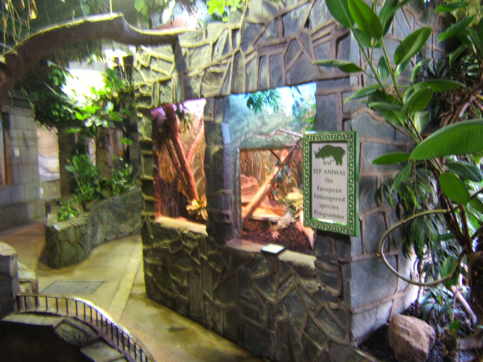 View inside Reptile House