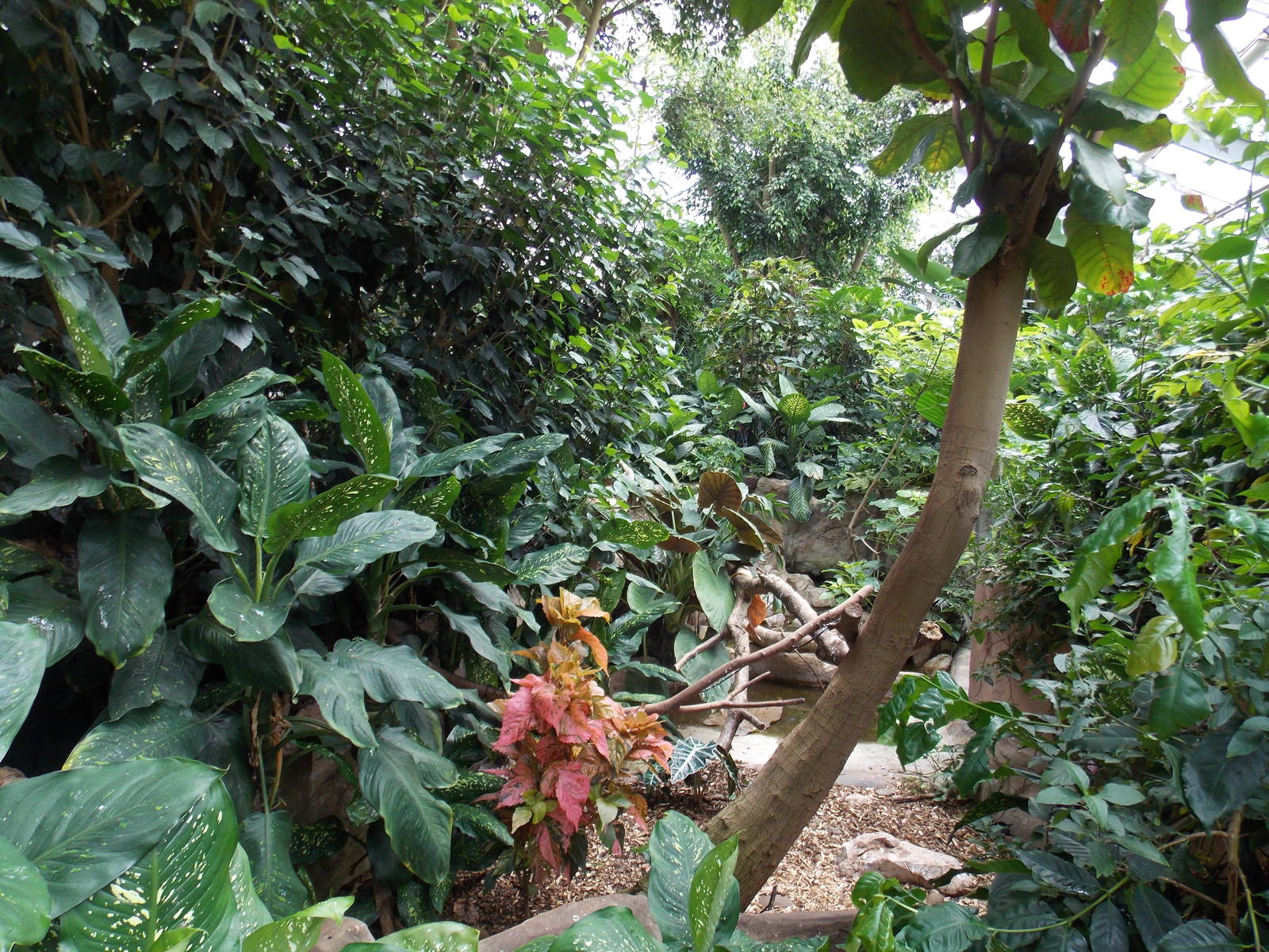 View inside Reptile Tropics building