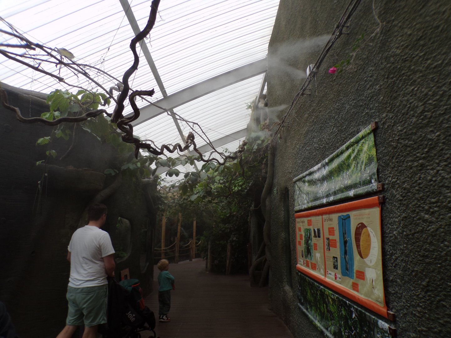 View inside RoTRA 29.6.24