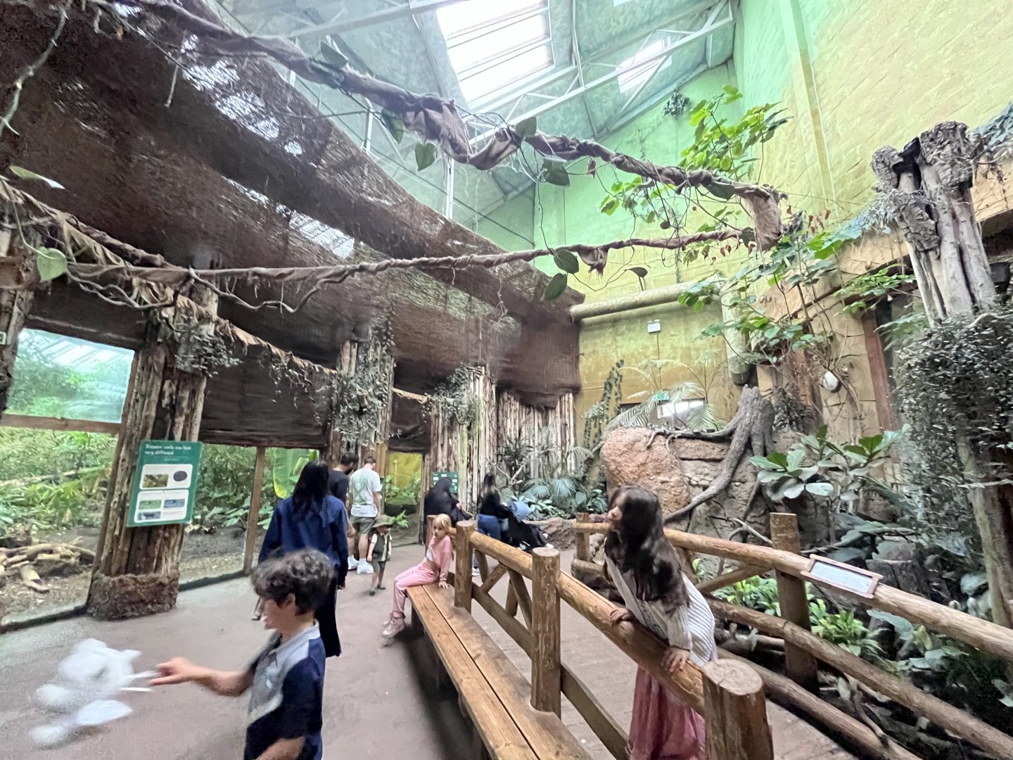 View inside SOTJ 29.6.24